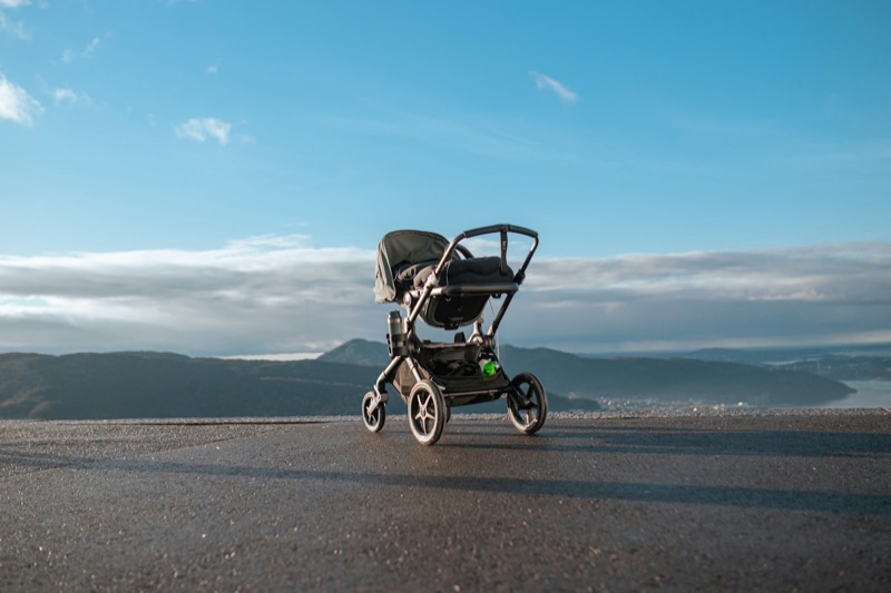 UPPAbaby Vista Stroller
